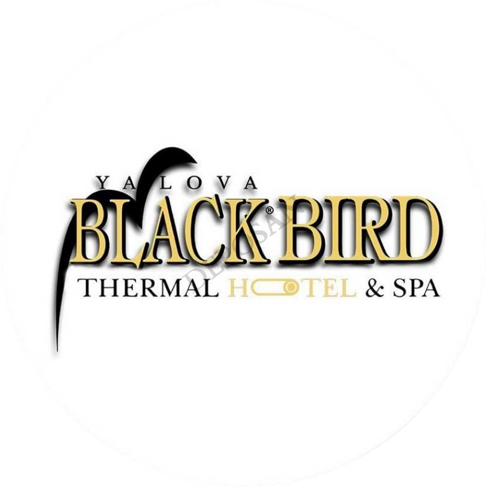 black bird sandalye
